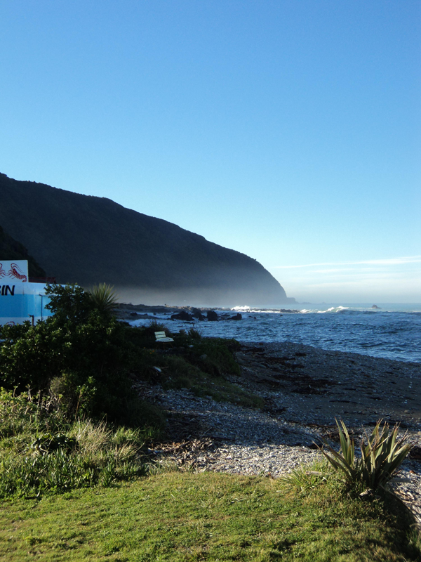 A typical sight on the North end of the South Island along the Ocean.